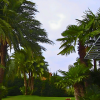 &copy; Landscape Group ★★★★★ (29)