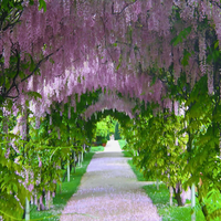 &copy; Landscape Group ★★★★★ (49)