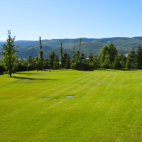 &copy; Landscape Group ★★★★★ 120